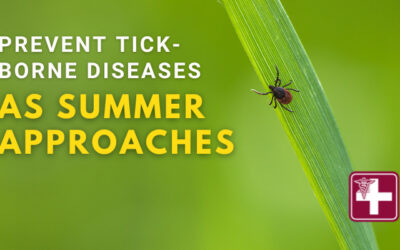 Prevent Tick-Borne Diseases as Summer Approaches